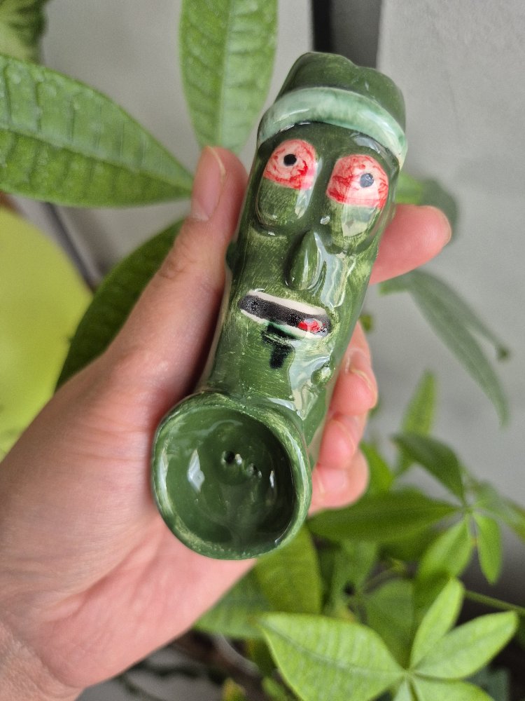 Rick and Morty Pickle Fşgür Ön Sipariş