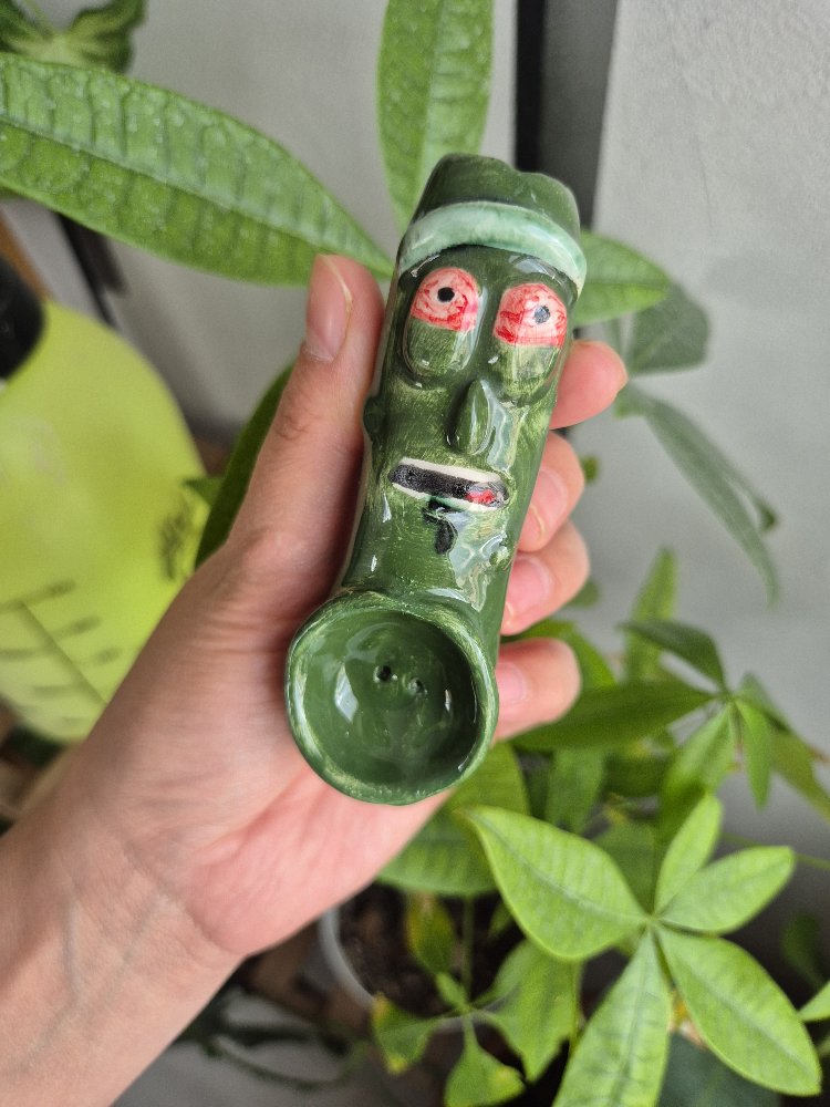 Rick and Morty Pickle Fşgür Ön Sipariş