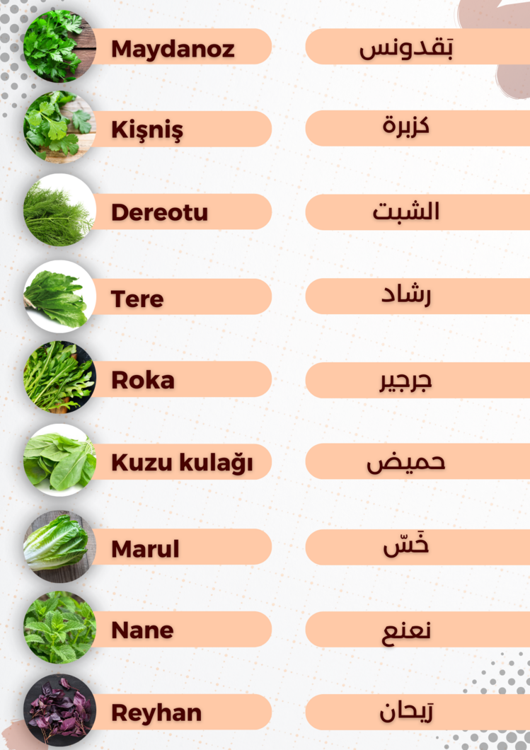 أسماء الخضار والفواكه باللغة التـركية pdf