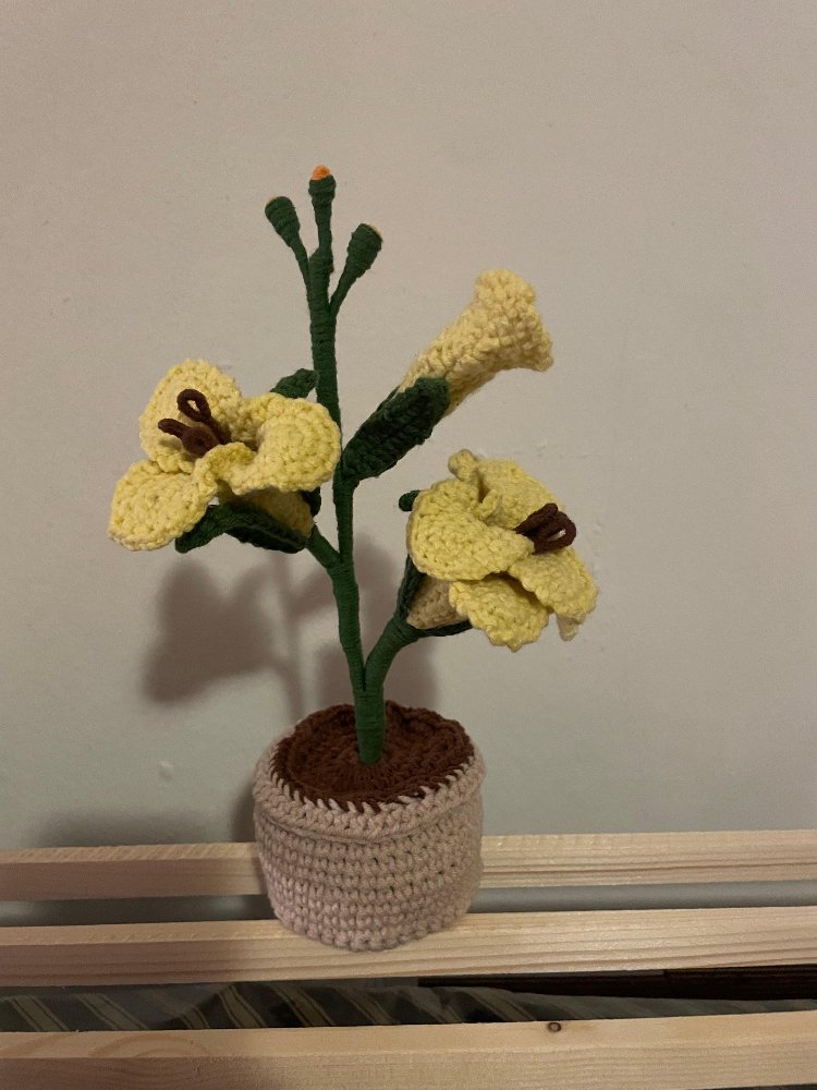 Saksıda El Yapımı Glayöl - Sevimli Amigurumi Dekor