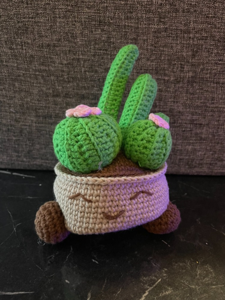 El Örgüsü Sevimli Kaktüsler - Tasarım Amigurumi Oyuncak & Hediye