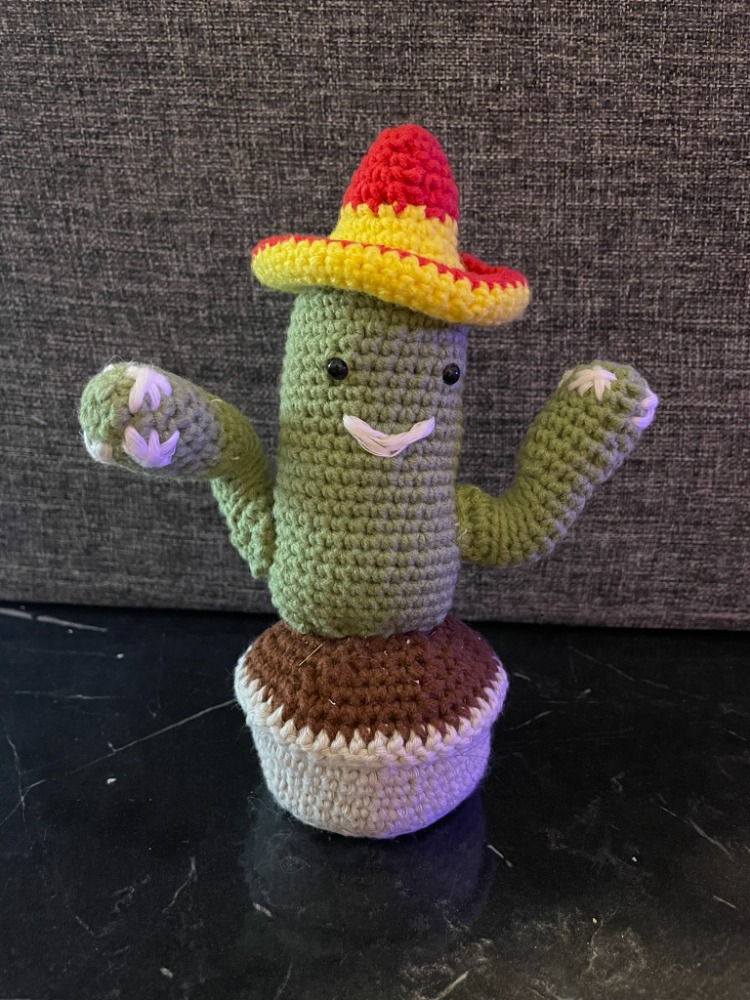 El Örgüsü Meksika Şapkalı Kaktüs - Tasarım Amigurumi Oyuncak & Hediye 
