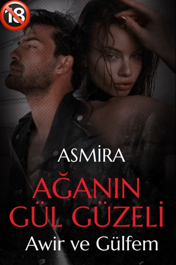 21+ Ağanın Gül Güzeli (TEK PARÇA Pdf)