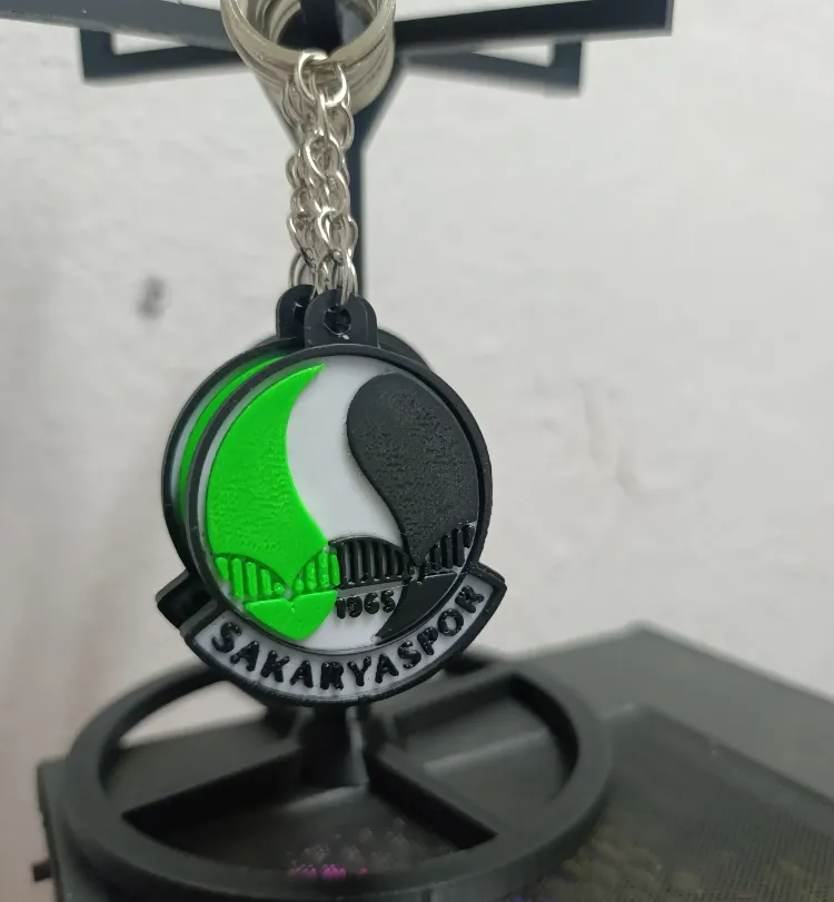 SakaryaSpor Anaharlık