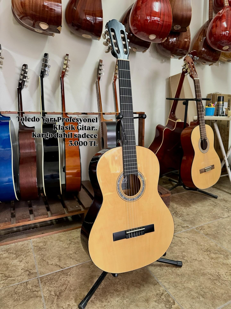 Toledo gitar
