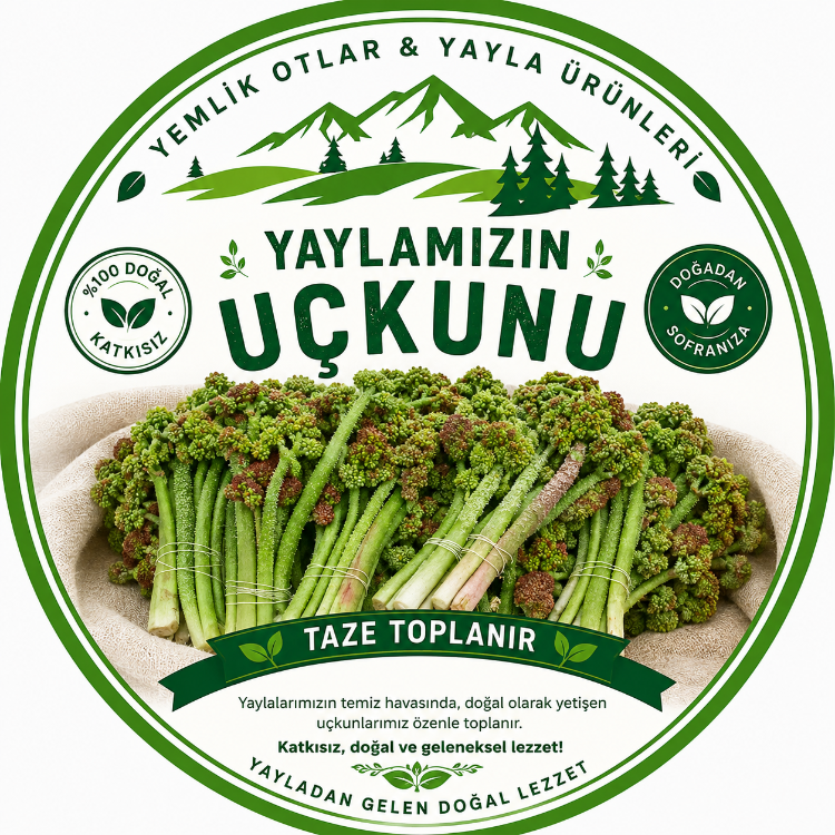 Uçkun - Yaylamuzu