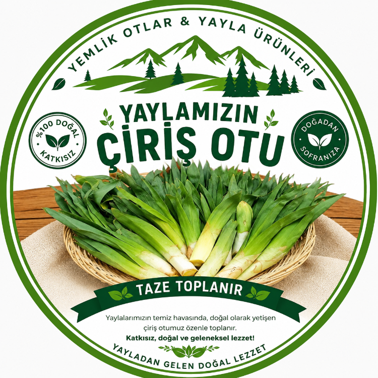 Çiriş Otu Taze 1 kg