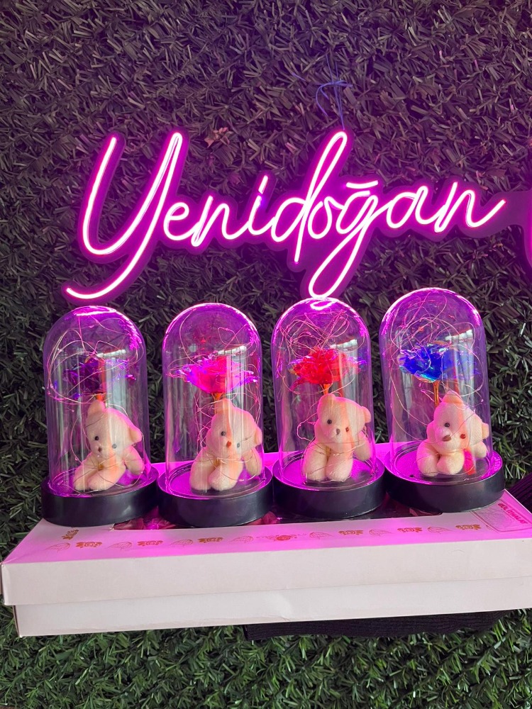 SONSUZLUK GÜLÜ TEARYUM AYICIK