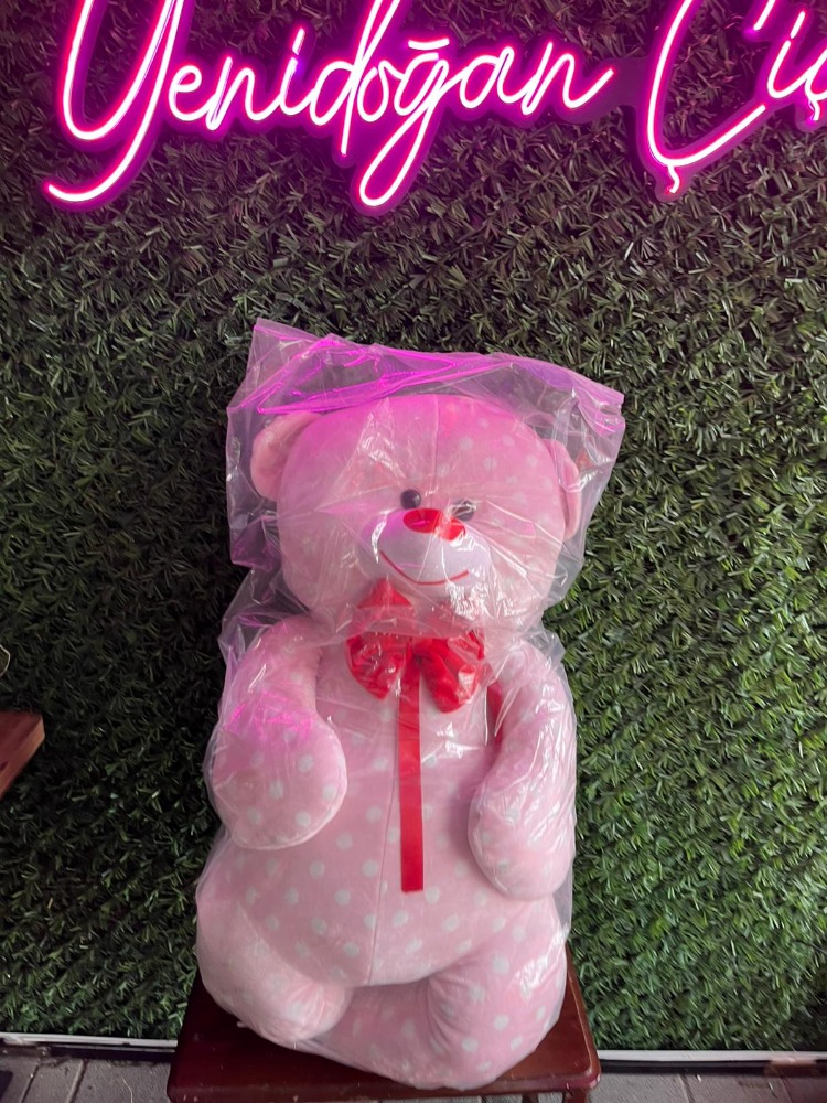 170 CM BÜYÜK PELUŞ AYICIK