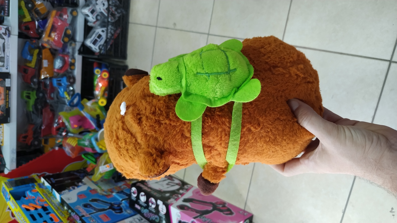 KAPİBERA CAPYBARA