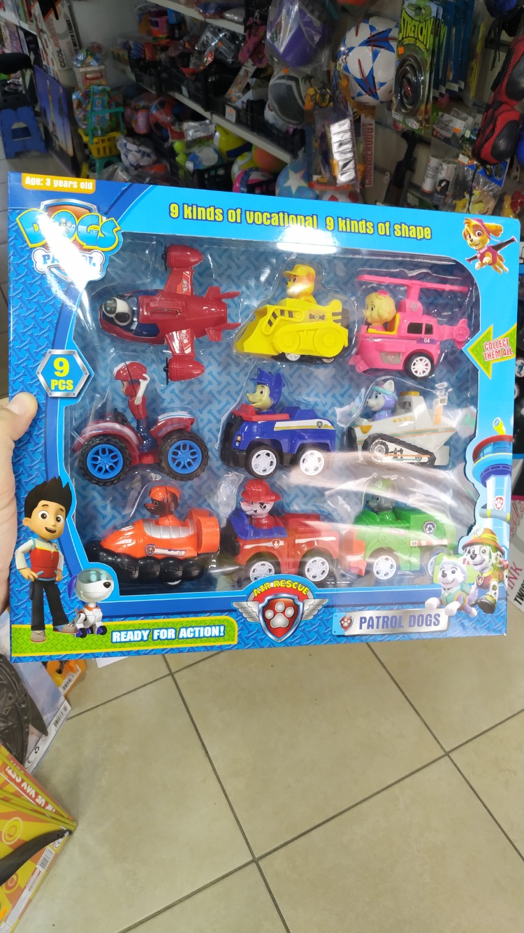 9 LU PAW PATROL ARAÇ SETİ