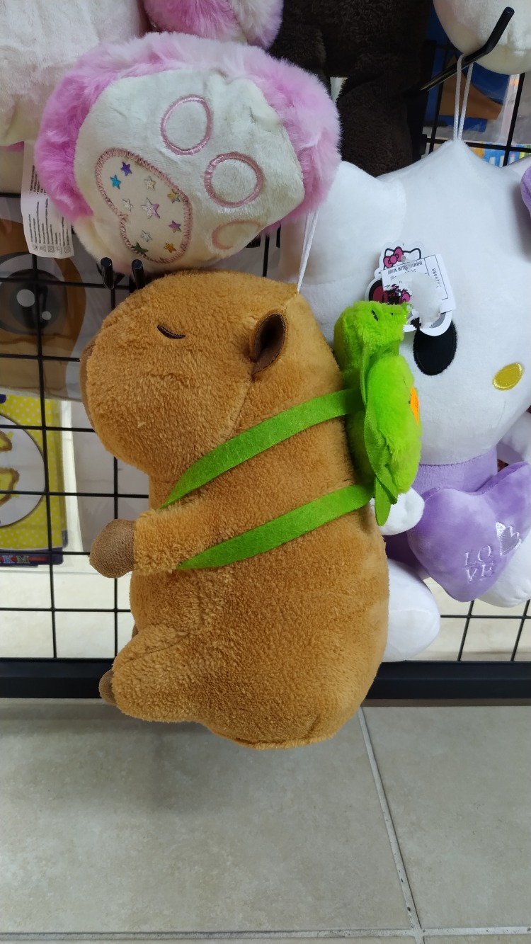 KAPİBERA CAPYBARA