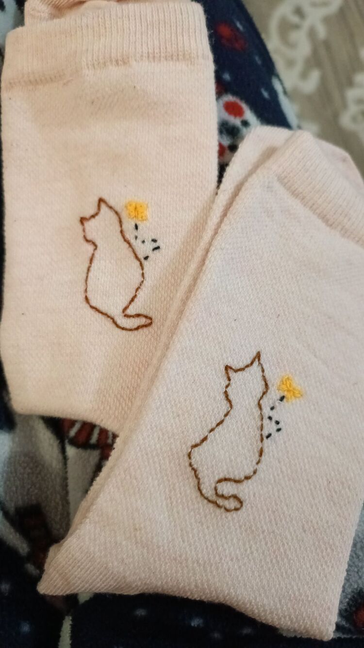 kedi çorap