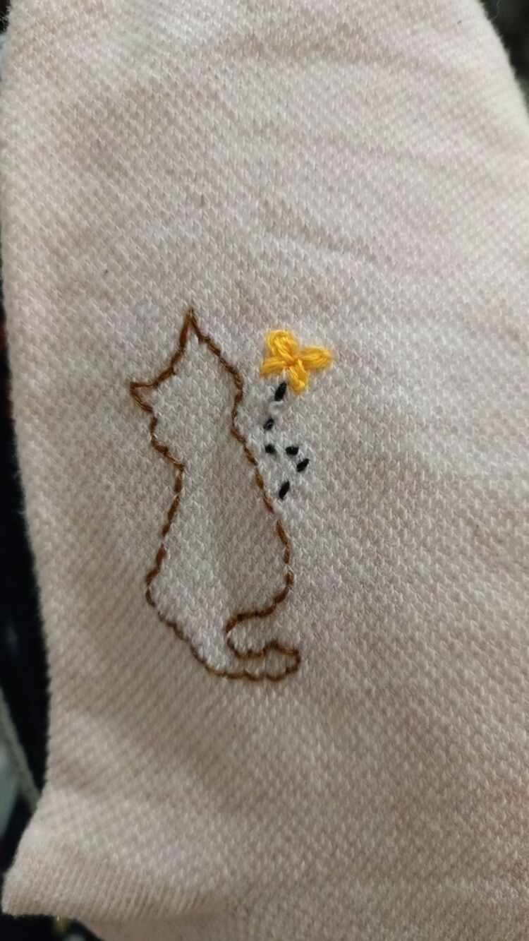 kedi çorap