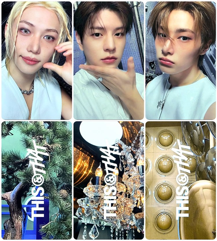 Stray Kids This & That LP VERS Fotokart