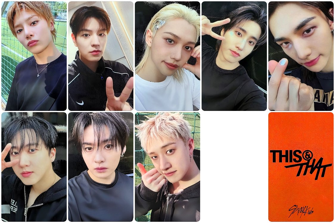 Stray Kids This & That POB VERS Fotokart