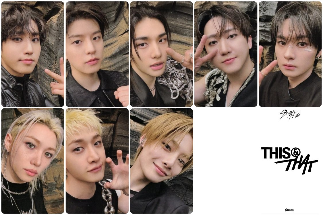 Stray Kids This & That POB VERS Fotokart