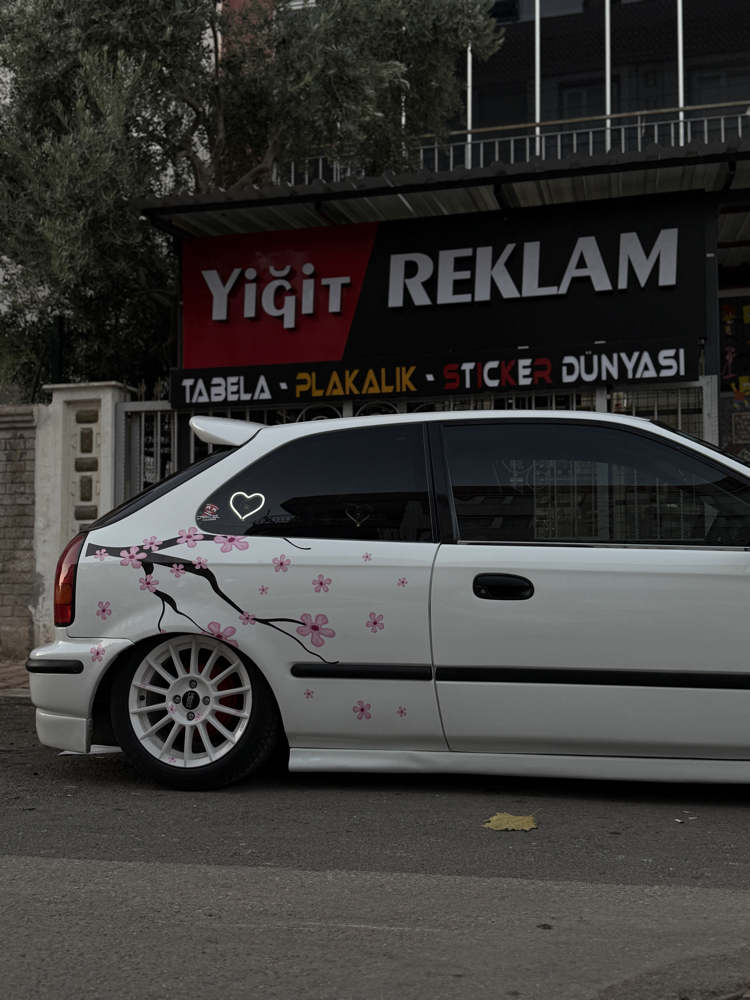 Sakura ağacı Sticker