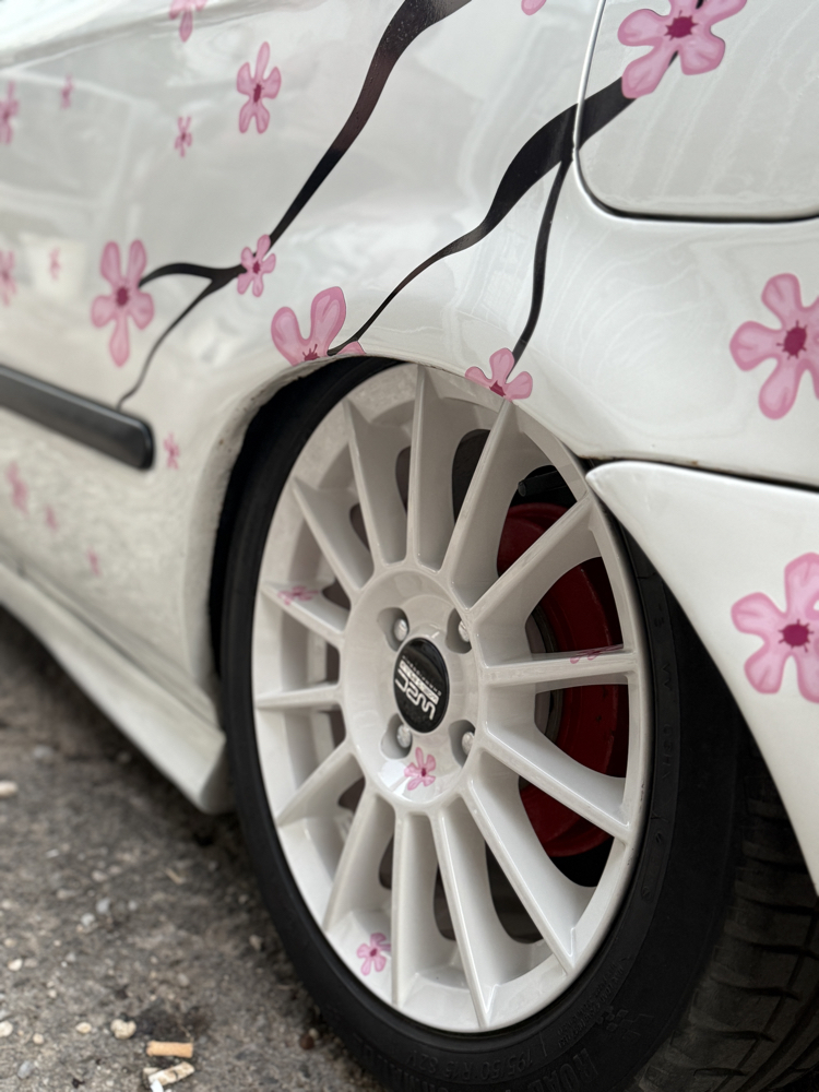 Sakura ağacı Sticker