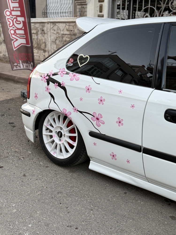 Sakura ağacı Sticker