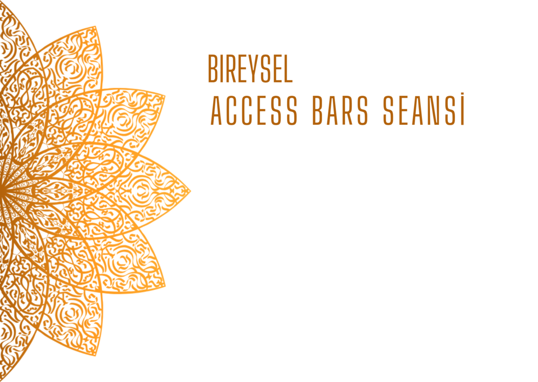 ACCESS BARS