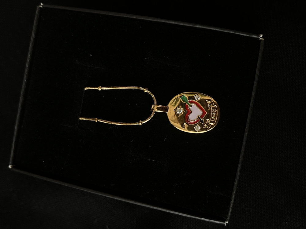 Çelik Gold Kolye
