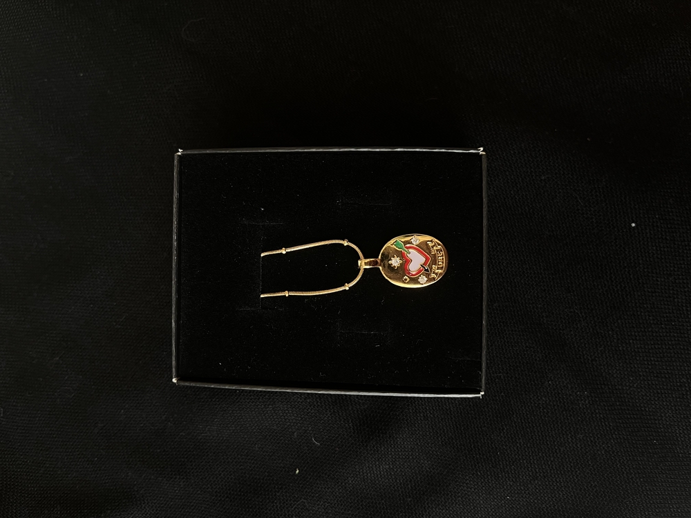 Çelik Gold Kolye