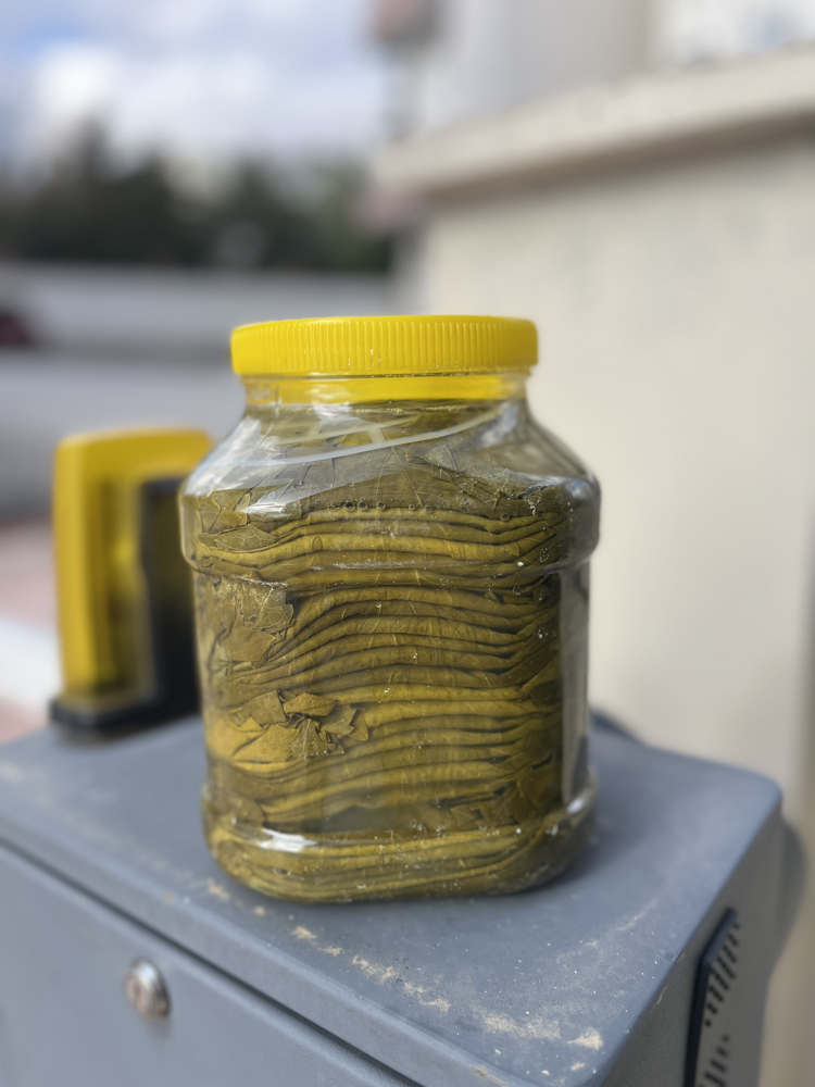 TOKAT ERBAA YAPRAĞI SALAMURA