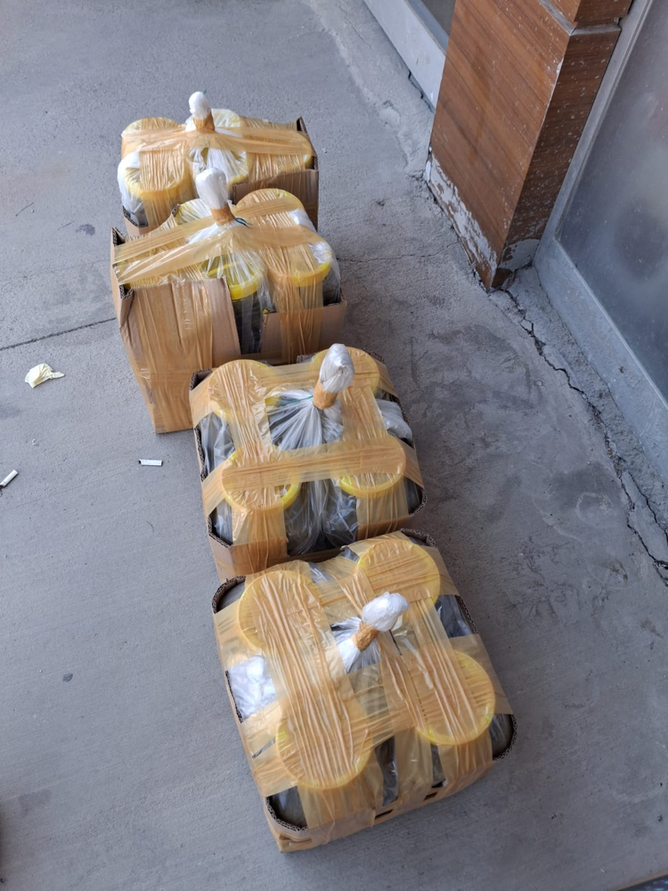 ERBAA YAPRAĞI 4 LÜ KOLİ