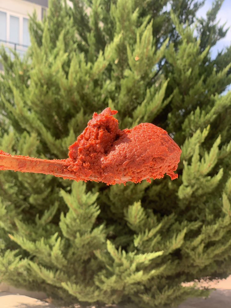 Hatay salçası BİBER TATLI VEYA ACI 5 KG