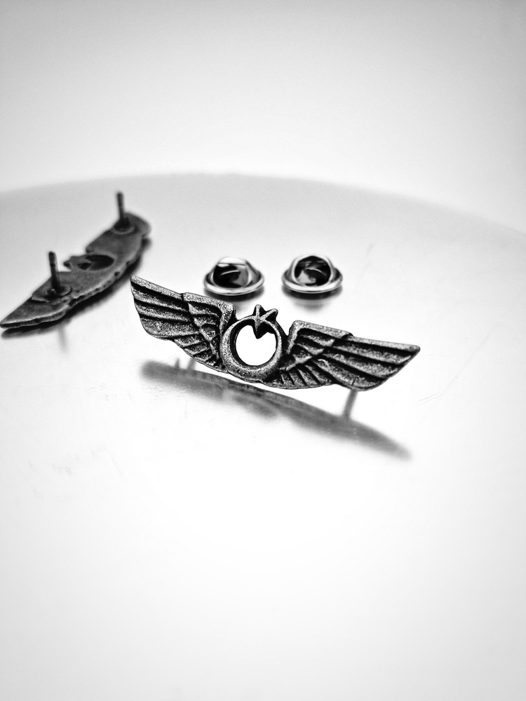 Hava Kuvvetleri Antik Gümüş Bröve 4.5cm