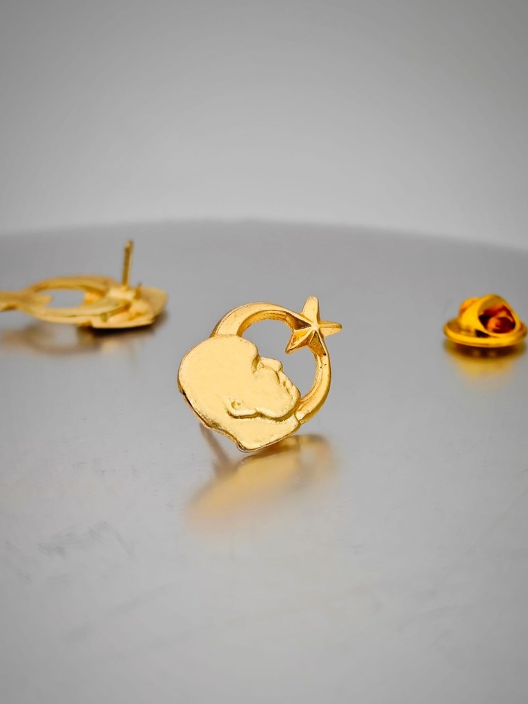 4 Lü Yaka Rozeti Gold Set