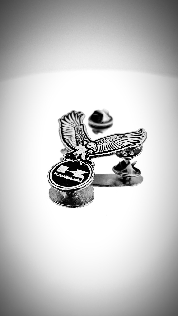 Kartal Kawasaki Motorcu Rozeti
