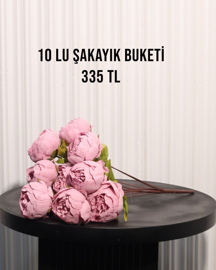 1O KAFA BÜYÜK ŞAKAYIK DEMETİ