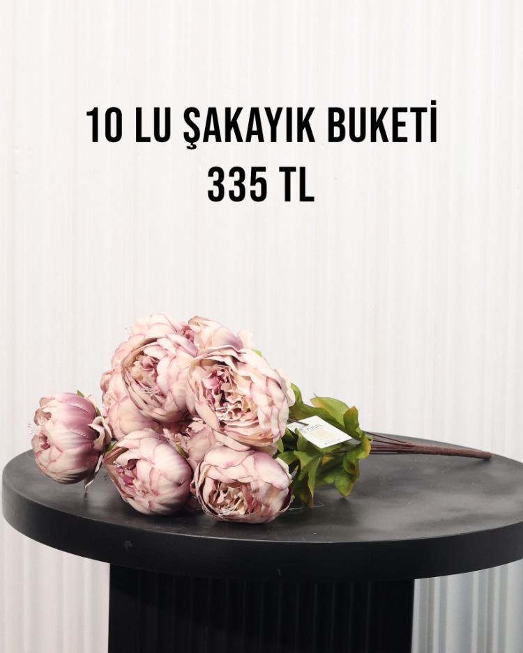 1O KAFA BÜYÜK ŞAKAYIK DEMETİ