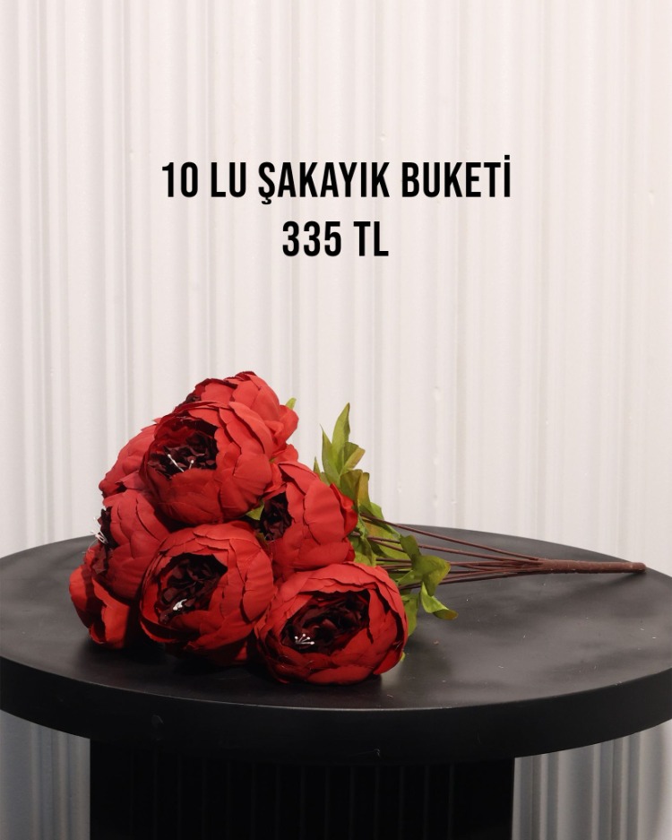 1O KAFA BÜYÜK ŞAKAYIK DEMETİ