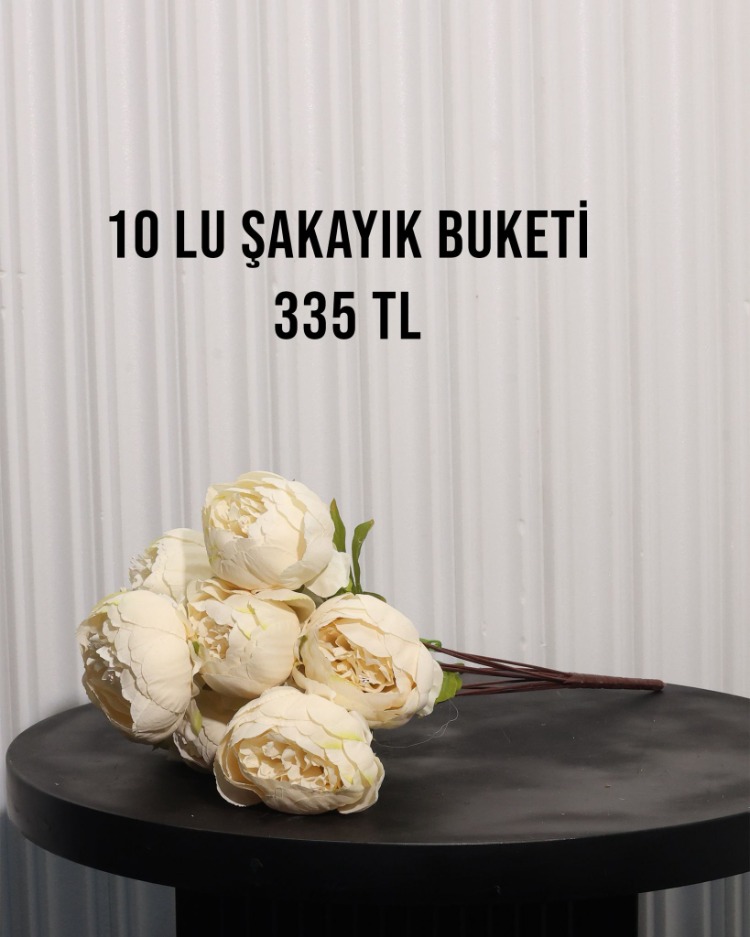 1O KAFA BÜYÜK ŞAKAYIK DEMETİ