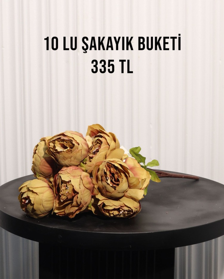 1O KAFA BÜYÜK ŞAKAYIK DEMETİ