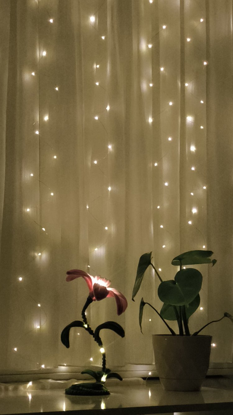 Zambak Gece Lambası Pembe 