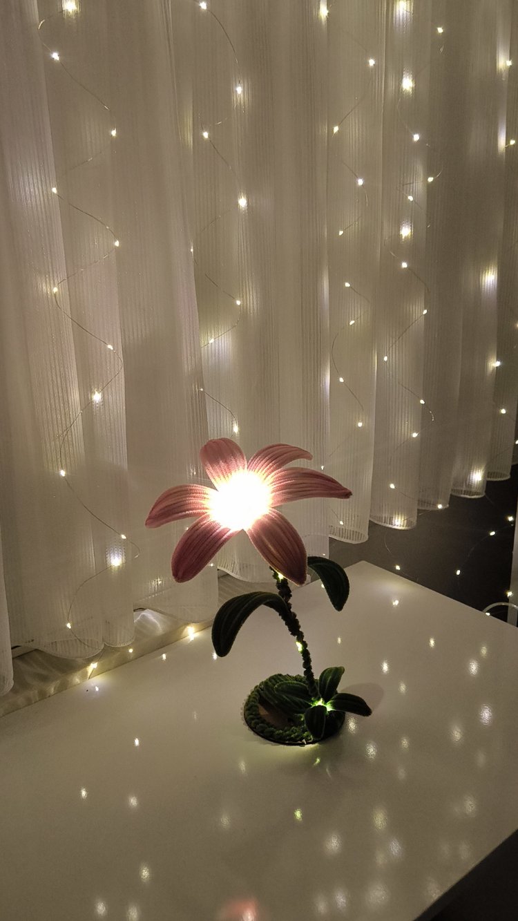 Zambak Gece Lambası Pembe 