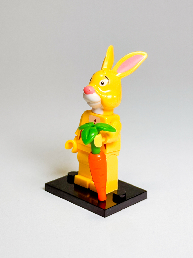 Rabbit - Winnie the Pooh