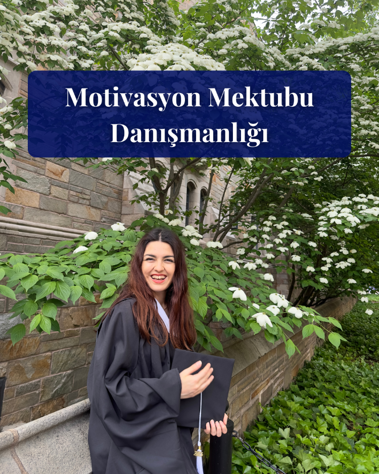 Motivasyon Mektubu Danışmanlığı - 2 Seans