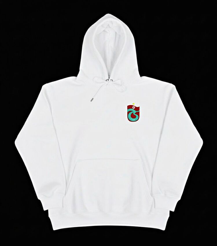 ts logo takım hoodie