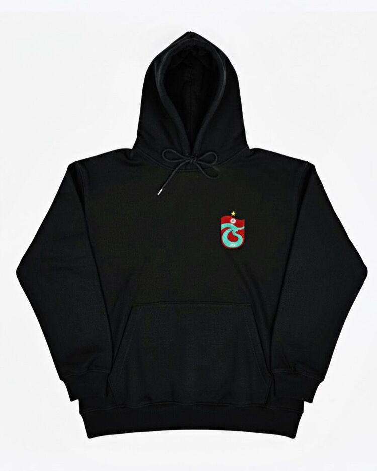 ts logo takım hoodie
