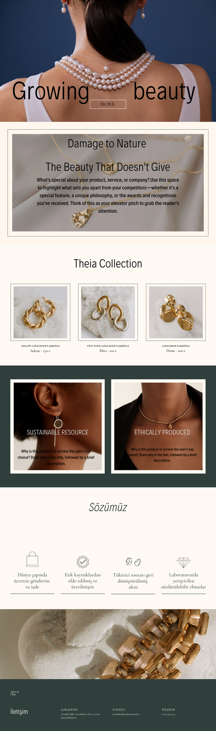 Modern Elegant Style Jewelry Business Website