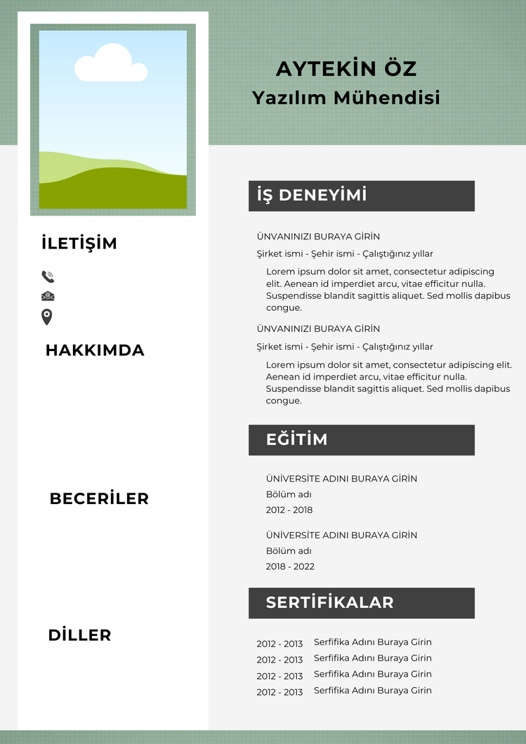Gri ve Yeşil Şık Yazılım Mühendisi CV Özgeçmiş