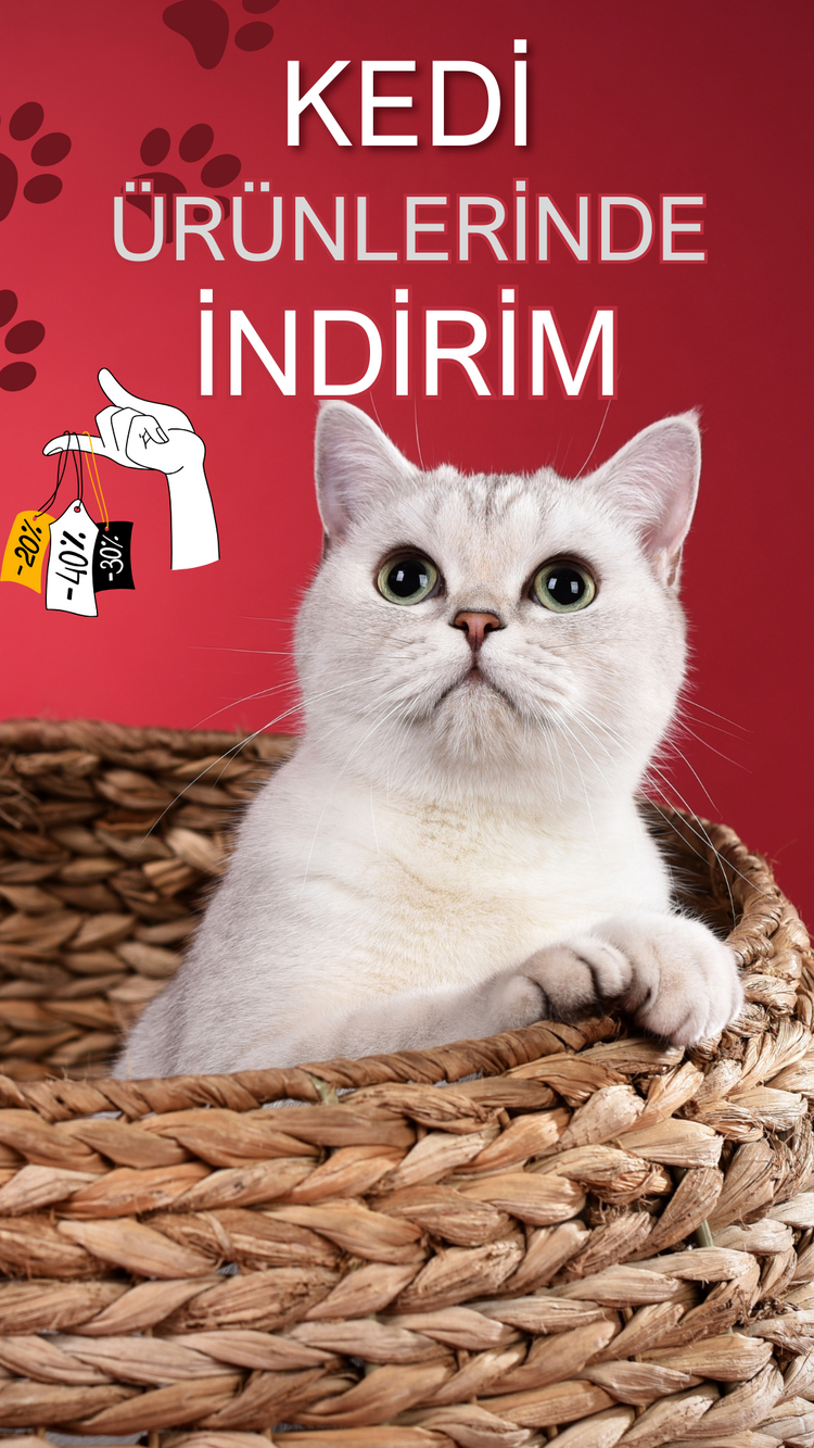 EVCİL KEDİ ÜRÜNLERİNDE İNDİRİM ŞABLONU 