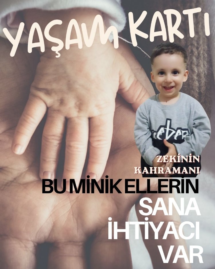 Zeki'nin Yaşam Kartı