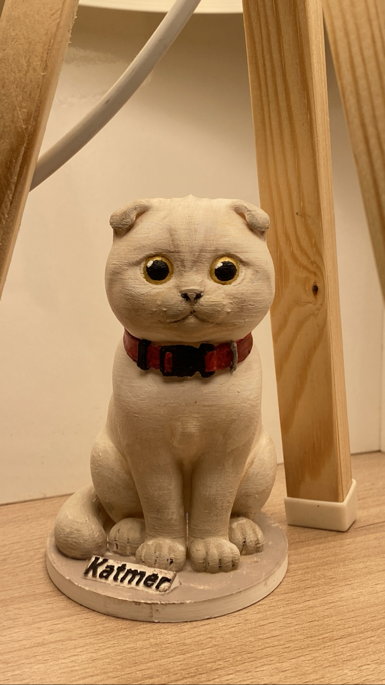 Kişiye özel figür - Kedi figürü - Evcil dost figür