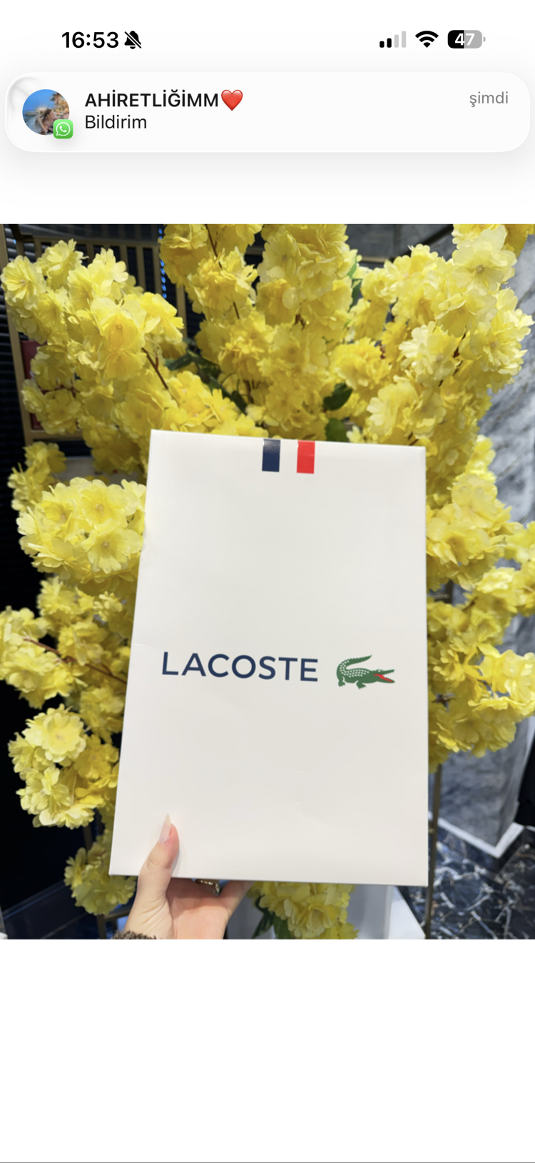 Premıum Lacoste Gömlek